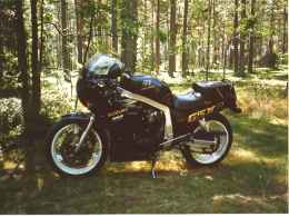 Susan2.jpg (9244 bytes)